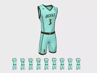 Basketball Fantasy Team Jackals Uniform - Character Design Low-poly 3D model