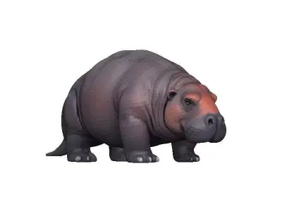 Manatee Low-poly 3D model