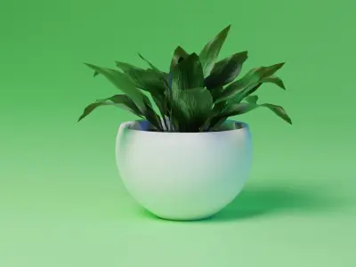 Aspidistra indoor plant PBR Ready for Unreal Engine 5 Low-poly 3D model