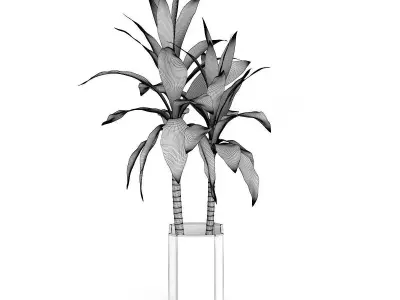 Bamboo Plant in Glass Pot 3D model