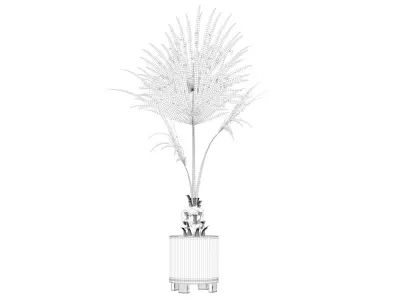 Washingtonia filifera palm in terrazio flowerpot 3D model