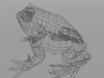 Warty Toad Low-poly 3D model