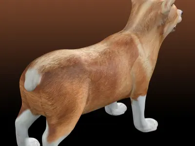 Corgi - Dog Low-poly 3D model