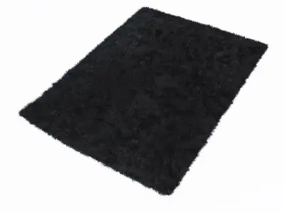 Fuleri Black carpet 3D model