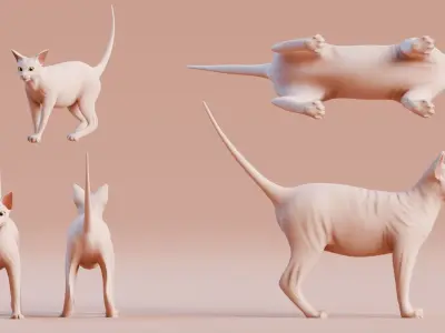 Low poly - Stylized cats - Sphynx Cat  Low-poly 3D model