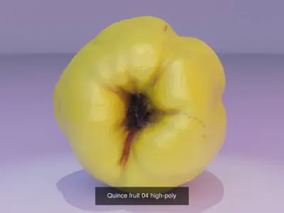 Collection of quince fruits high-poly 3D model