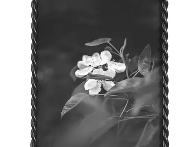 Picture frame 01 3D model