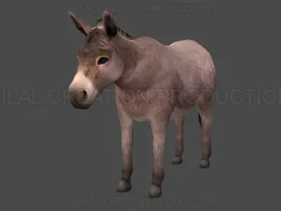 Donkey Animated Low-poly 3D model