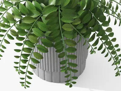 Plant Boho - Fern Low-poly 3D model