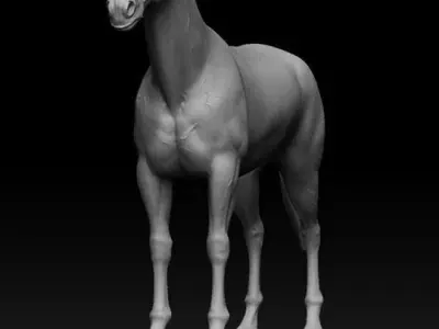 horse 3D model