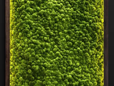 Moss wall 2 3D model