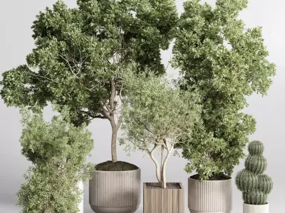 Collection indoor outdoor  plant tree vase dirty concrete 3D model