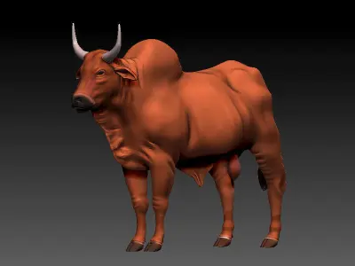 3D Bull 3D model