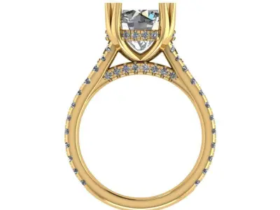 Cathedral split shank diamond ring 3D print model