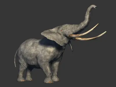 animated elephant 3D model