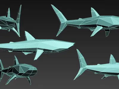 Shark interior sculpture 3D model