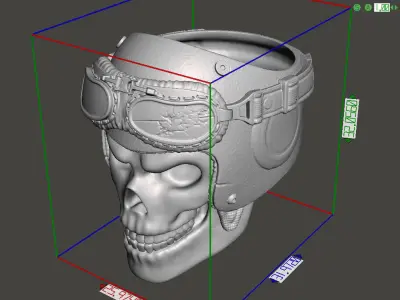 skull ring jewelry biker helmet vol3 3D print model
