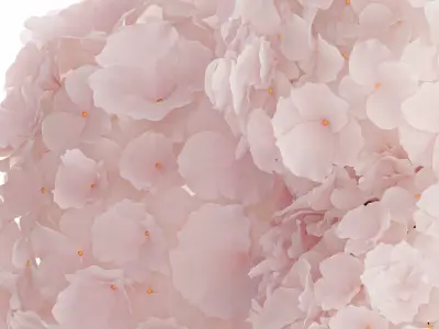 Realistic Bouquet Glass Vase Pink Hydrangea 645 3D model