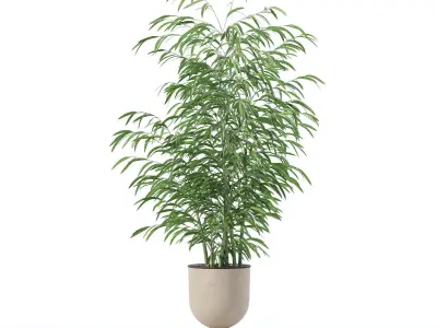 Bamboo in modern flower pot 3D model
