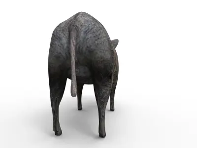 3D Boar Rigged 3D Models game ready Low-poly 3D model