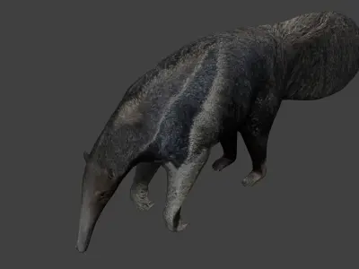 Giant anteater Low-poly 3D model