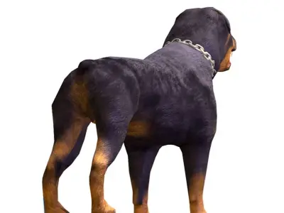 LowPoly Monster Black Mastiff Dog Low-poly 3D model