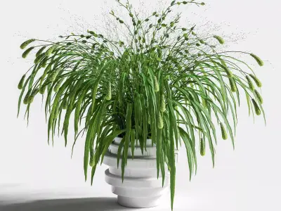Bouquet of grass with knobs 3D model