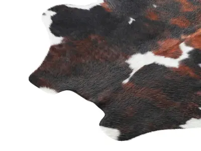 Tricolor Cowhide Rug A27043 3D model