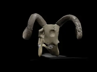 Goat low poly game ready skull Low-poly 3D model