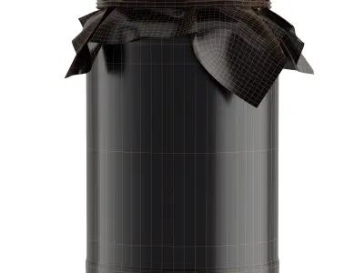 JAR OF RASPBERRY JAM 3D model