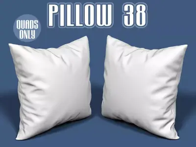 Pillow 38 3D model