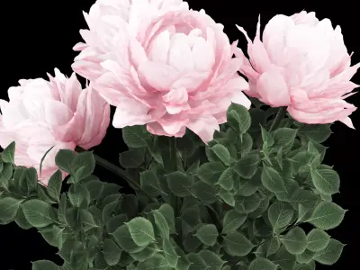 Bouquet Flower Plant Set Low-poly 3D model