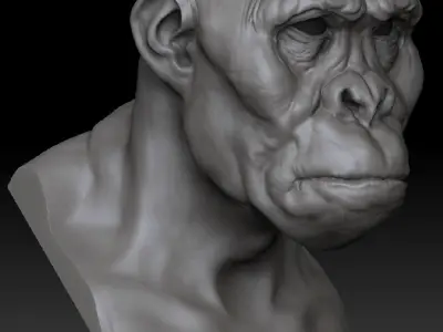 Ape Head 3D printing 3D model