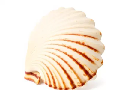 Natural Seashell Textured model pack Low-poly 3D model
