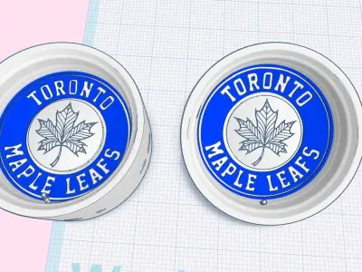 NHL Toronto Maple Leaf rims 3D print model