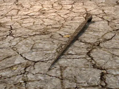 AAA Very Low Poly Snake Low-poly 3D model