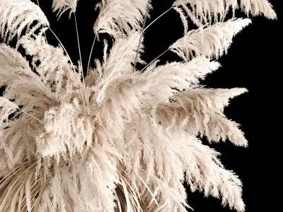 Hanging Bouquet Of Dry Reeds For Decoration 267 3D model