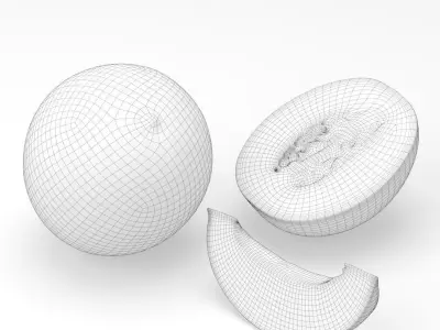 Galia melon 3D model
