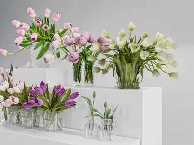 Tulip Flower Arrangement in Glass Vases 3D model
