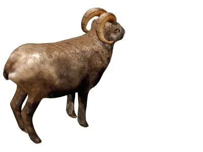 Animated and Rigged 3D Ram Animal Low-poly 3D model
