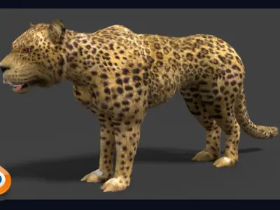 leopard cheetah 3D model