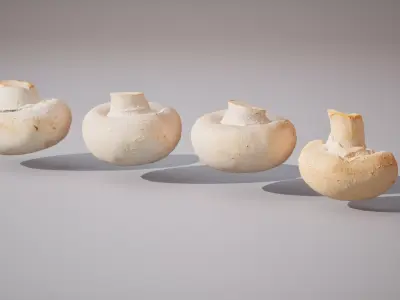 Set of 4 scanned low poly models of champignon mushrooms Low-poly 3D model