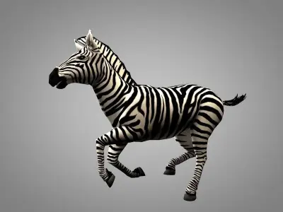 Zebra running Low-poly 3D model