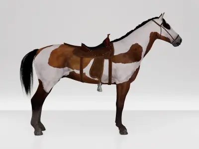 Horse Spanish Mustang  - Stallion Game Ready Low-poly 3D model