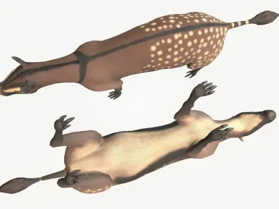 Hyracotherium Low-poly 3D model