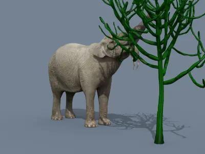 Deinotherium Thraceiensis HD - 3d animated 3D model