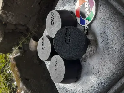 Center Caps Bridgestone Citta Wheels 3D print model