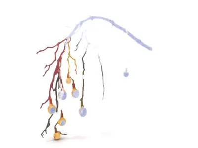 Rustic Branch Lighting model pack Low-poly 3D model