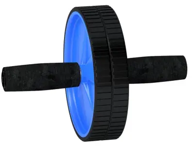 Exercise Wheel 3D model