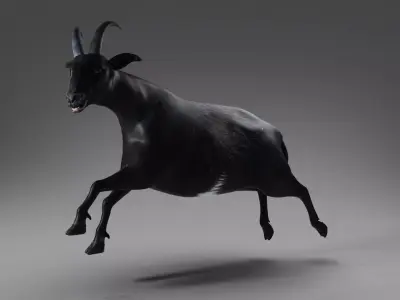 Goat 05 Rigged and Animation Low-poly 3D model